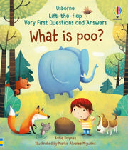What Is Poo Questions & Answers