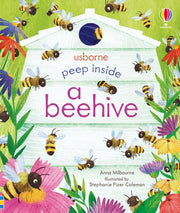 Peep Inside A Beehive