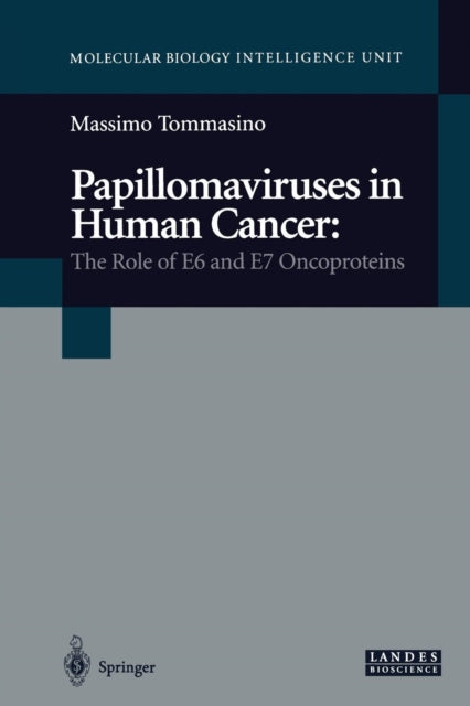 Papillomaviruses In Human Cancer : The R