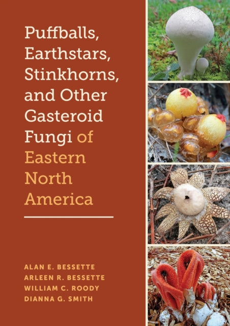 Puffballs Earthstars Stinkhorns & Other