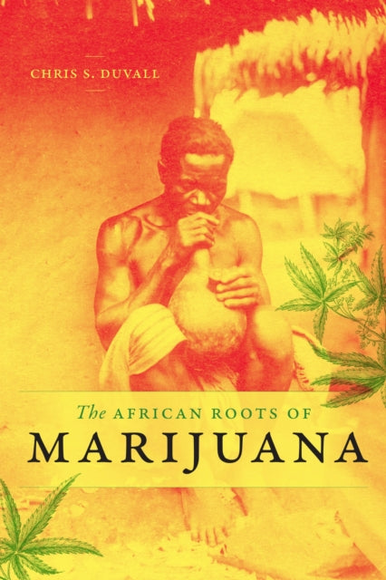 African Roots Of Marijuana