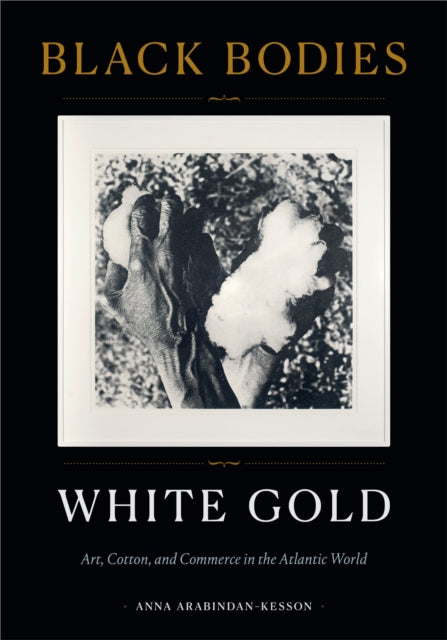 Black Bodies White Gold