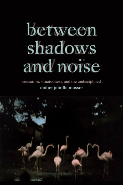 Between Shadows & Noise By Musser, Amber Jamill