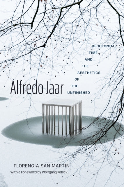 Alfredo Jaar By Martin, Florencia Sa