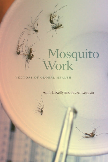 Mosquito Work : Vectors Of Global Health By Kelly, Ann H.