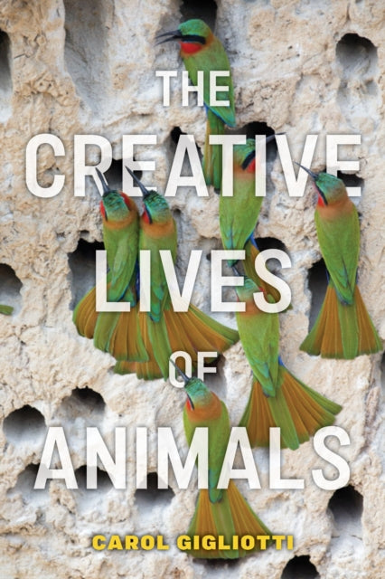 Creative Lives Of Animals