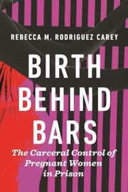 Birth Behind Bars By Rebecca M. Rodriguez Carey