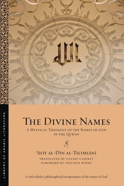 The Divine Names: A Mystical Theology Of