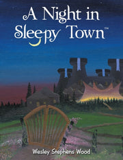 A Night In Sleepy Town