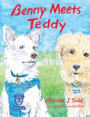 Benny Meets Teddy: Bented Rescue Adventu
