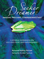 Seeker Dreamer: Amazing, Brilliant, Comp