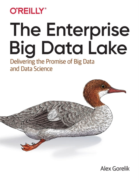 Enterprise Big Data Lake The