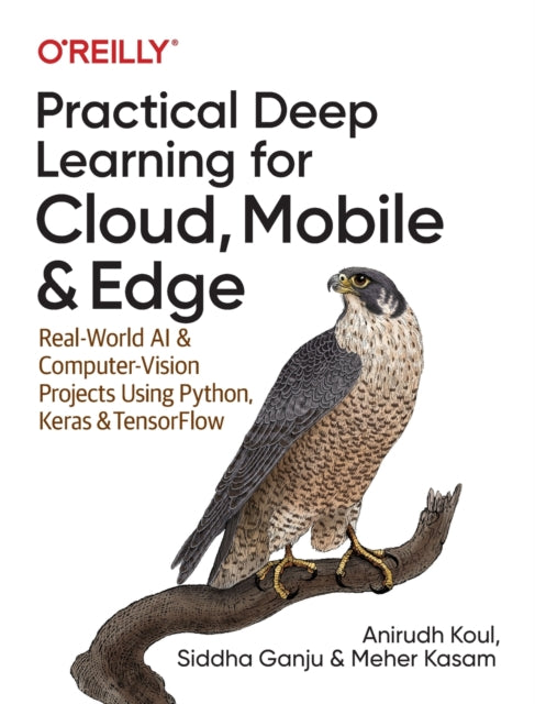 Practical Deep Learning For Cloud/mobile
