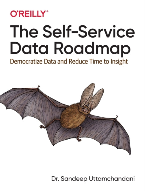 Selfservice Data Roadmap The