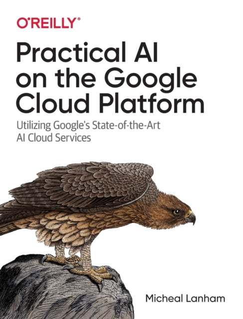 Practical Ai On The Google Cloud Platfor