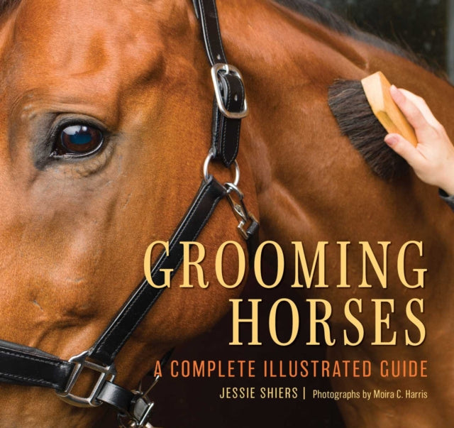 Grooming Horses By Shiers, Jessie
