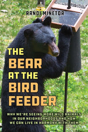 Bear At The Bird Feeder