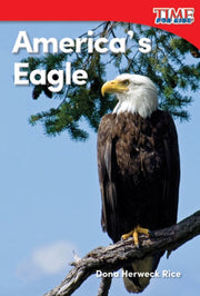 Americas Eagle