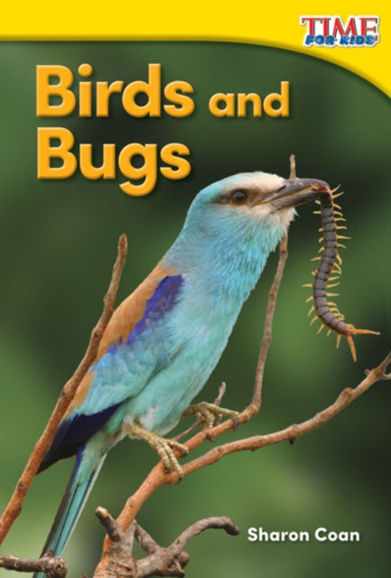 Birds & Bugs