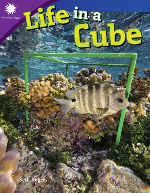 Life In A Cube