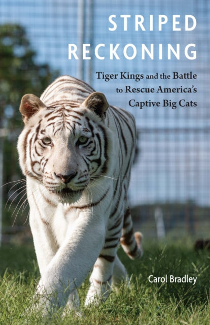 Striped Reckoning By Bradley, Carol