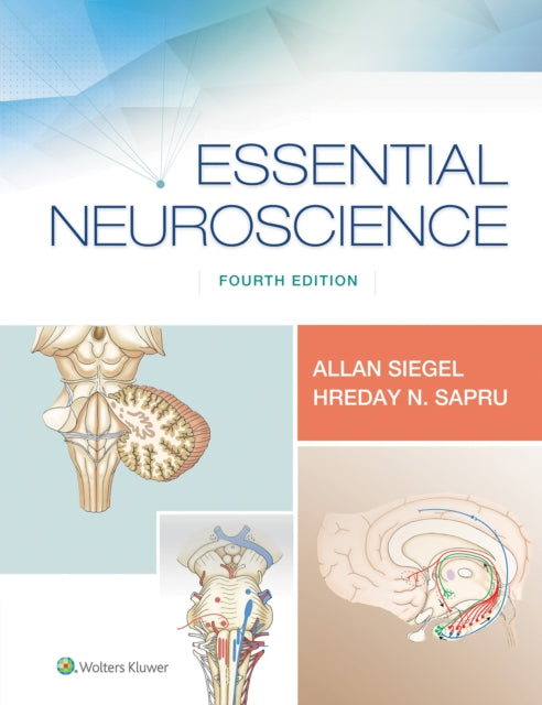Essential Neuroscience 4e