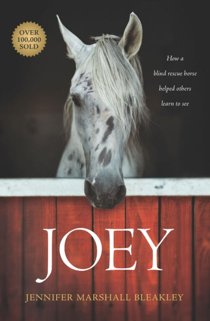 Joey By Jennifer Bleakley
