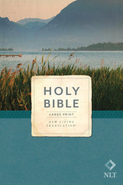 Holy Bible Economy Outreach Ed By Tyndale