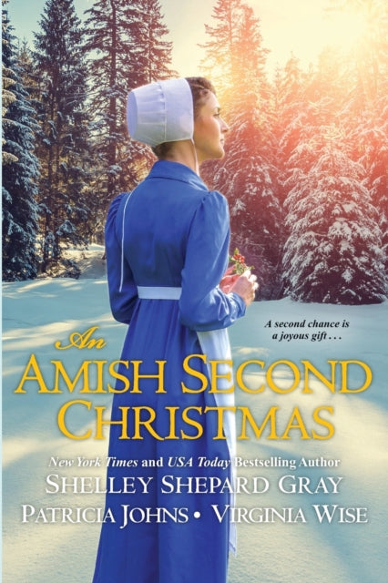 Amish Second Christmas