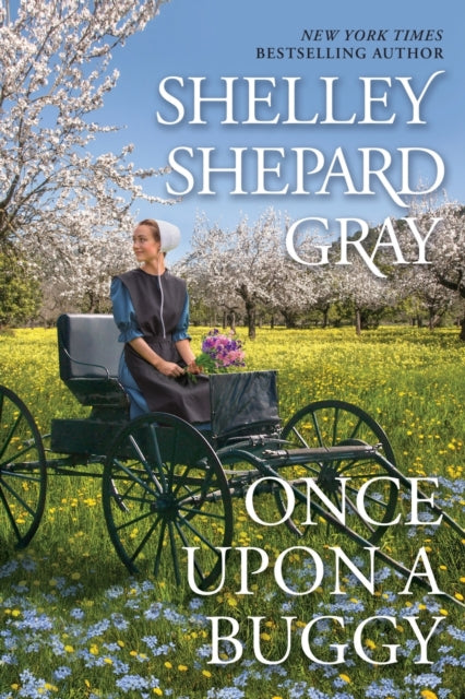 Once Upon A Buggy