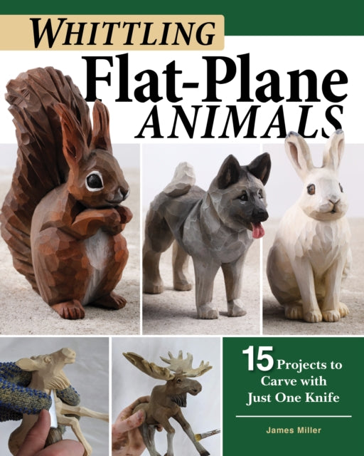 Beginners Guide To Flat Plane Carving