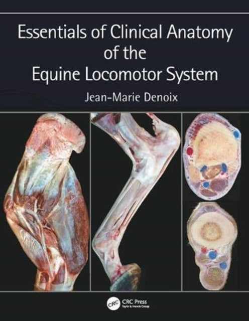 Essentials Of Clinical Anatomy Of The Eq By Denoix, Jean-marie