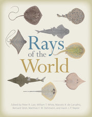 Rays Of The World
