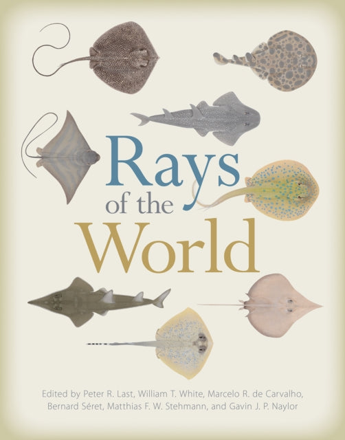 Rays Of The World