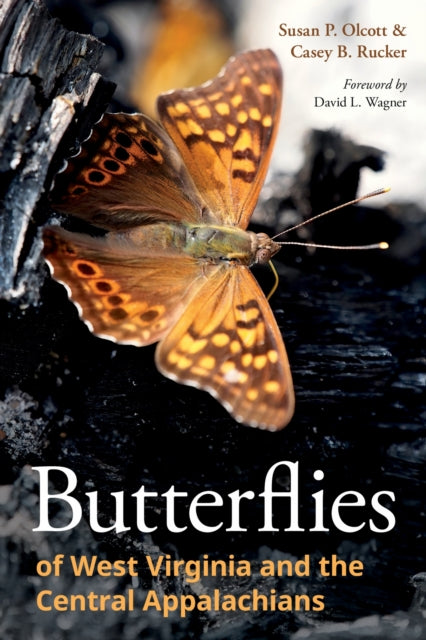 Butterflies Of West Virginia & The Centr By Olcott, Susan P.