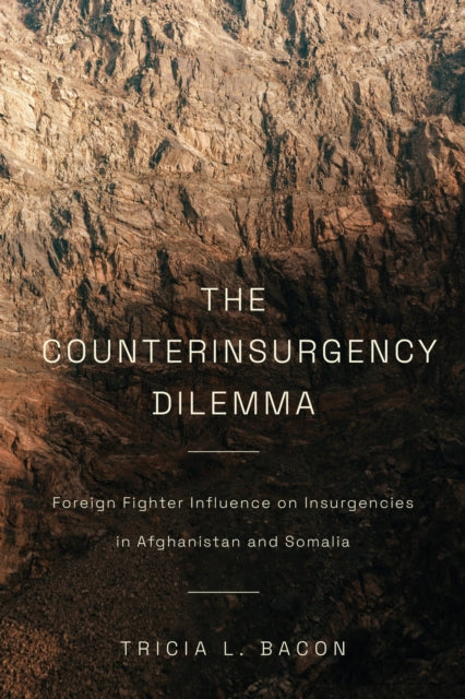 Counterinsurgency Dilemma