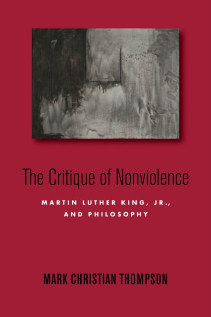 Critique Of Nonviolence