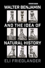Walter Benjamin & The Idea Of Natural Hi