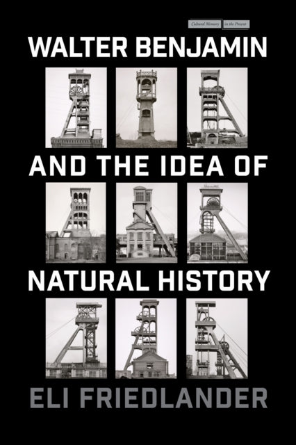 Walter Benjamin & The Idea Of Natural Hi