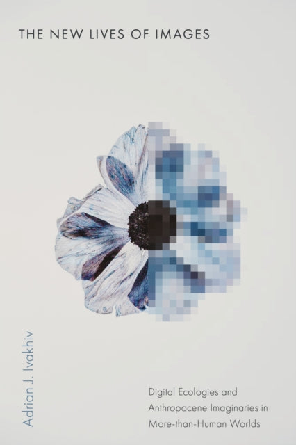 New Lives Of Images