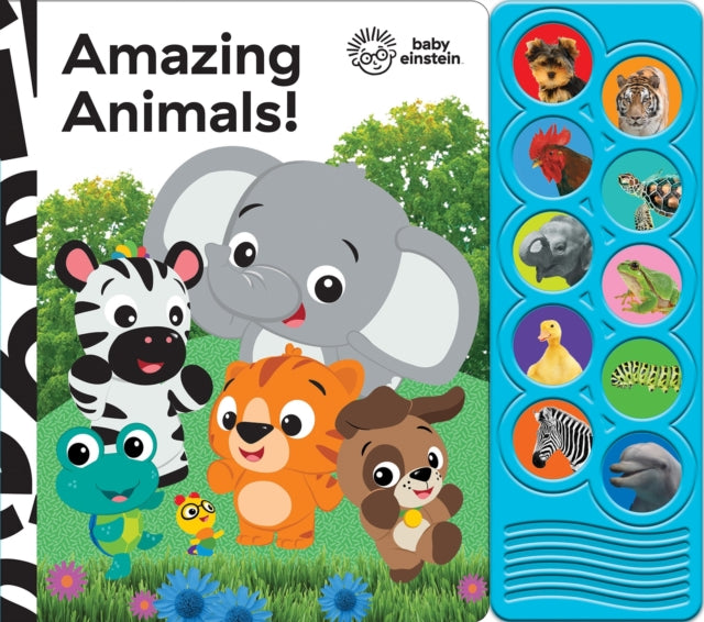 Baby Einstein Amazing Animals