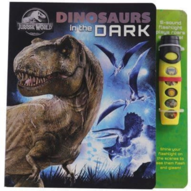Dinosaurs In The Dark Sound Book