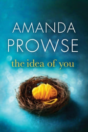 Idea Of You
