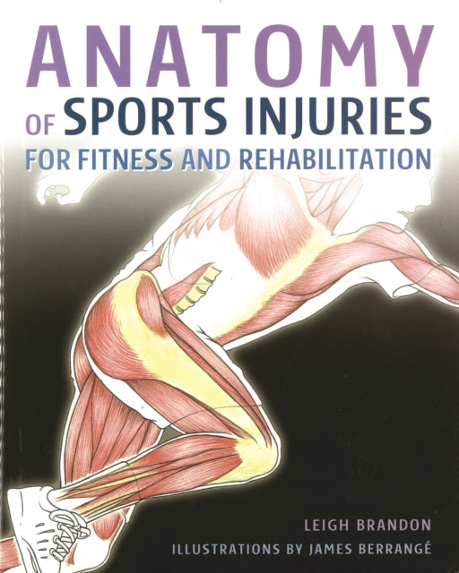 Anatomy Of Sports Injuries By Brandon, L