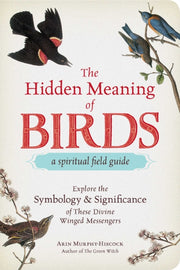Hidden Meaning Of Birds