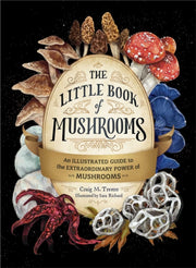 Little Book Of Mushrooms By Dorr, Alex