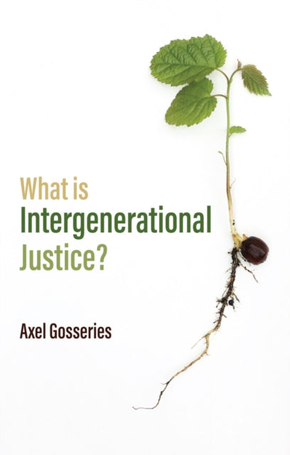 What Is Intergenerational Justice