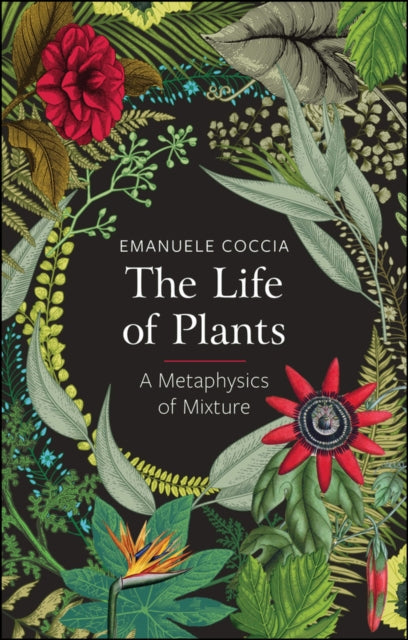 Life Of Plants