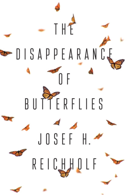 Disappearance Of Butterflies