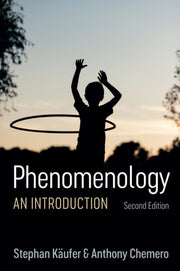 Phenomenology An Introduction